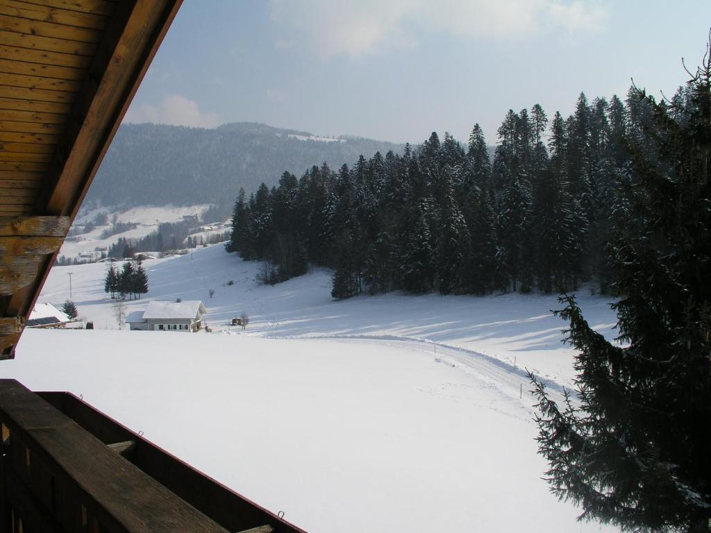 Ferienwohnungen Pension Sonnblick Krumbach  Room photo